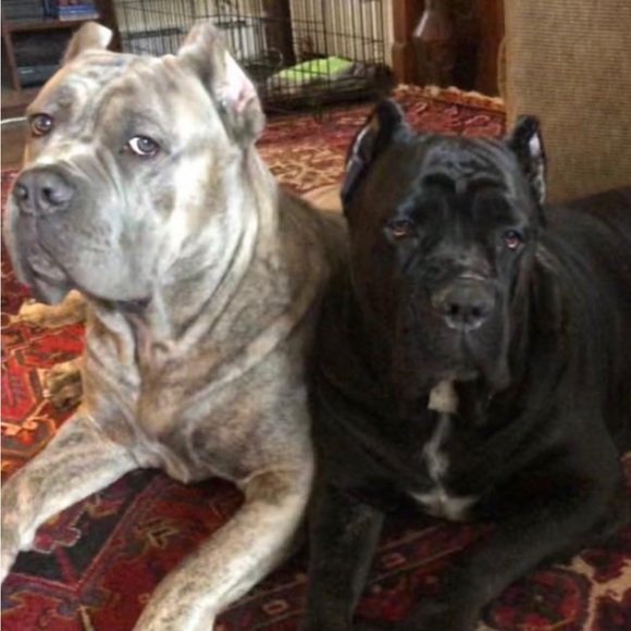 Meet your Posher, Maria - Picture 1 of 2